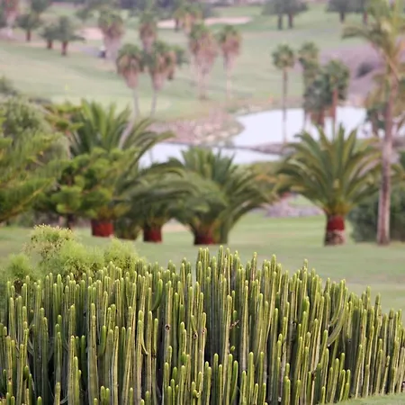 Villa Tropical By Villagrancanaria